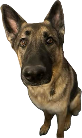 Brandy Byte Games
